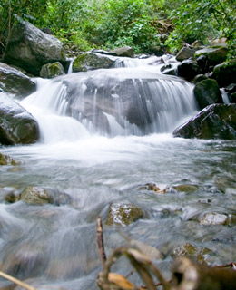 На фото: горный курорт Бокете в Панаме