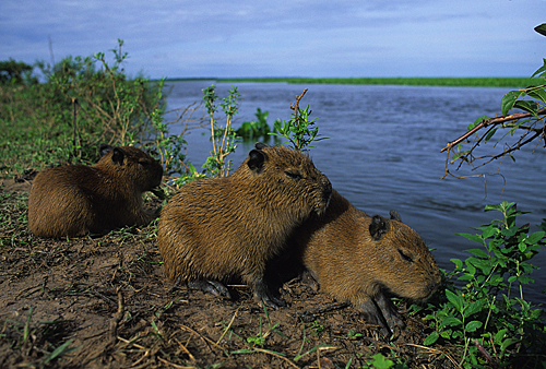 На фото: остров в Венесуэле