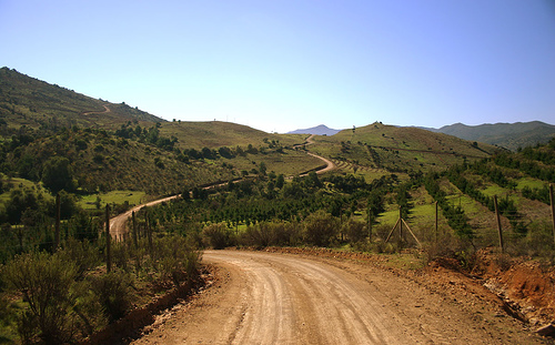 На фото: виноградники и виноделие в Чили