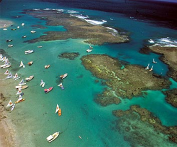На фото: бразильский город Олинда