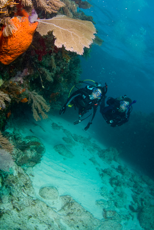 На фото: морской курорт остров Илья-Гранди в Бразилии