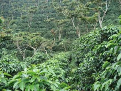 На фото: провинция Уэуэтенанго в Гватемале