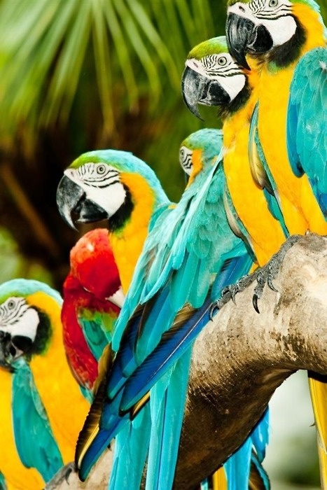 На фото: столица Никарагуа. город Манагуа