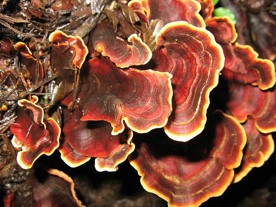 На фото: город Матагальпа (Matagalpa) в Никарагуа