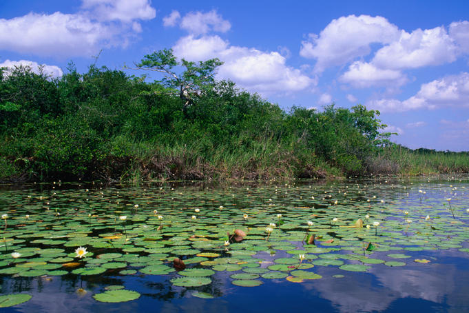 На фото: Ориндж Уолк (Холпатин) в Белизе
