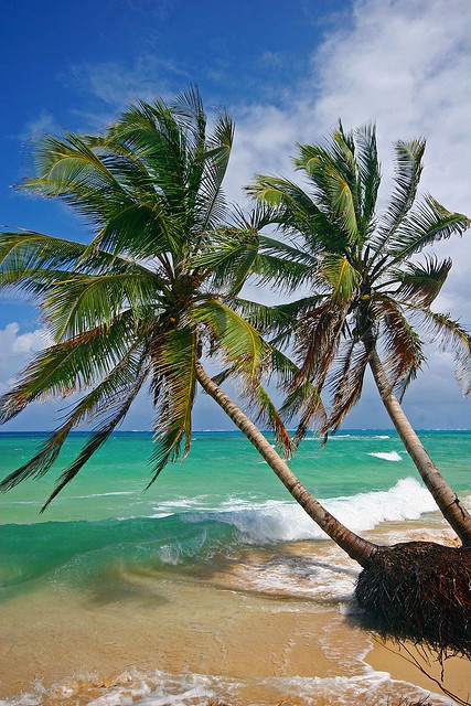 На фото: остров Корн Никарагуа