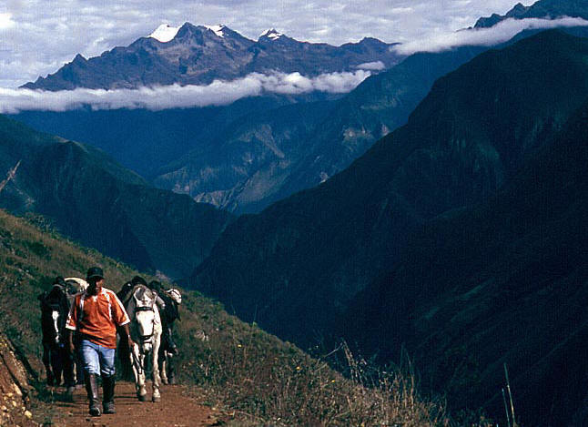 На фото: каньон Колка в Перу