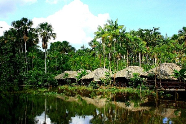 На фото: дельта реки Ориноко в Венесуэле