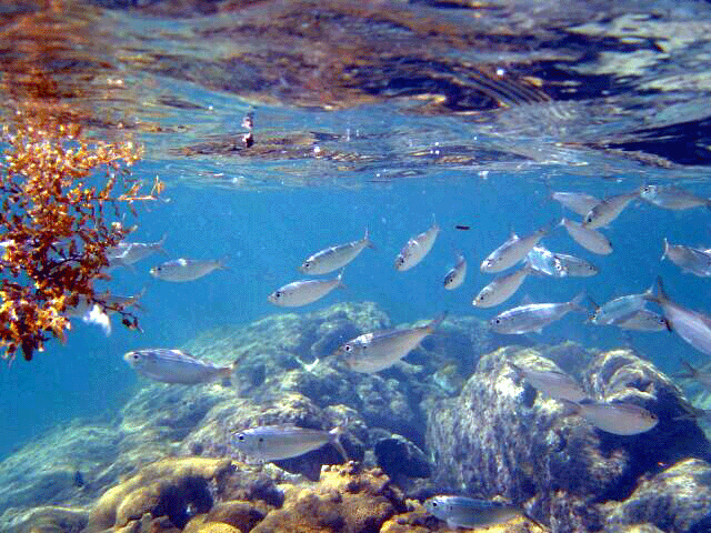 На фото: город Парати (Парачи) в Бразилии