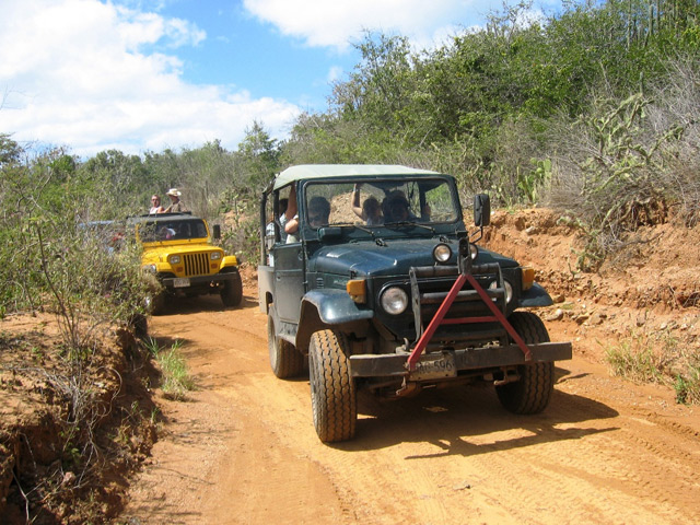 На фото: Канайма и водопад Анхель в Венесуэле