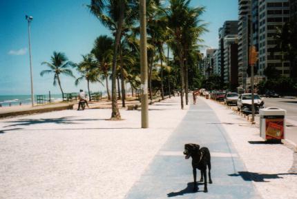 На фото: бразильский город Олинда