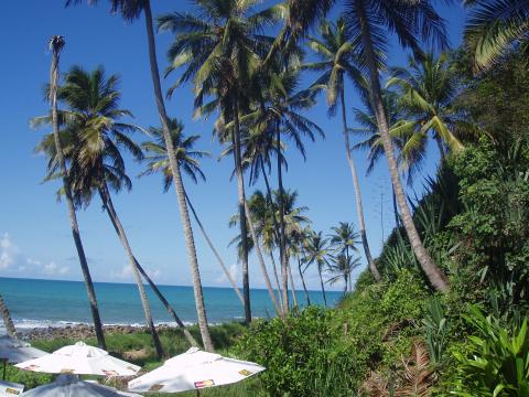 На фото: морской курорт город Натал в Бразилии