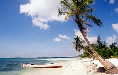 На фото: остров Утила в Гондурасе