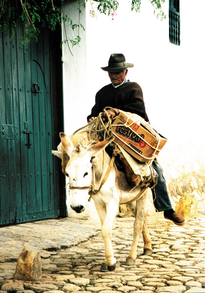 На фото: город Вилья-де-Лейва в Колумбии