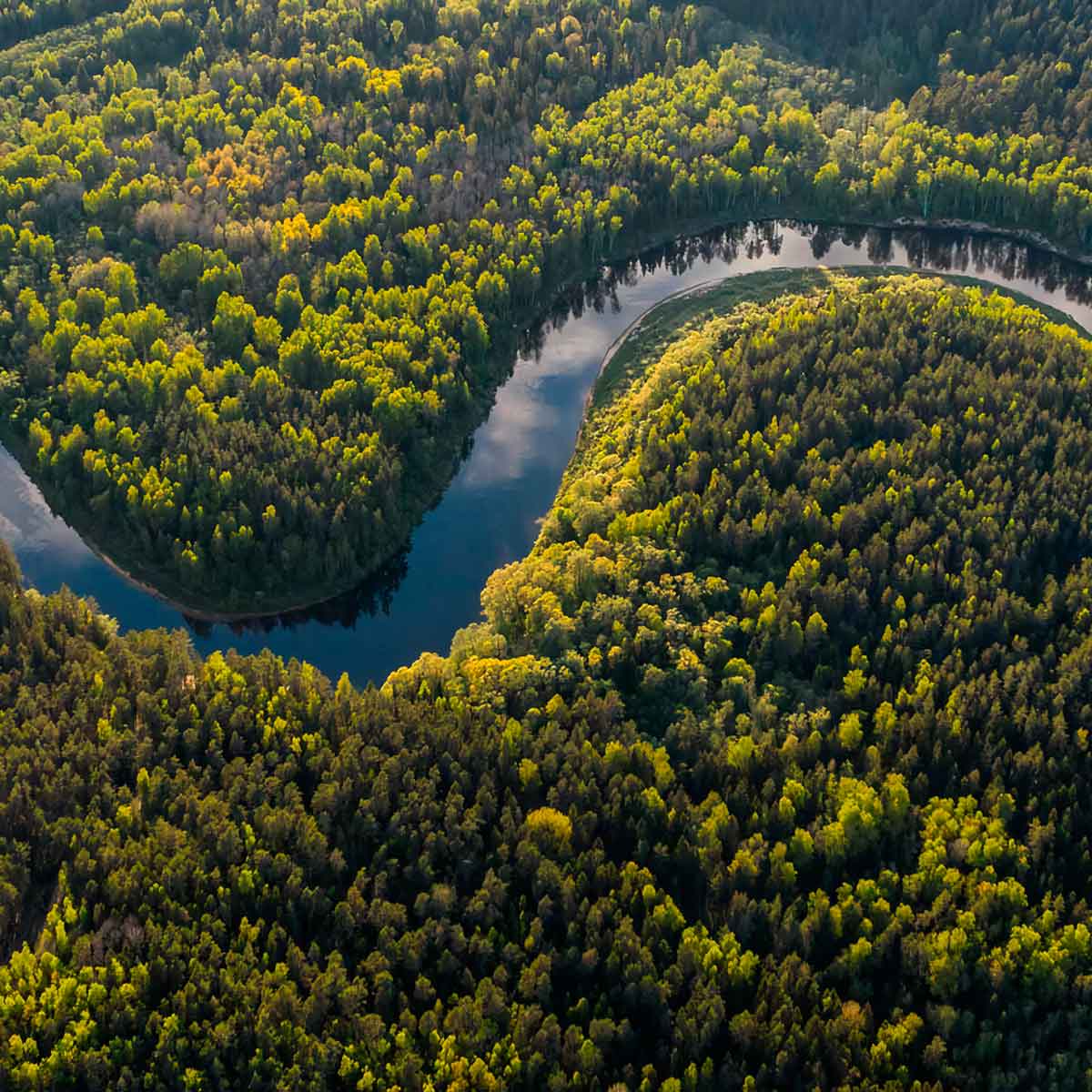 На фото: Река в Амазонке, Бразилия