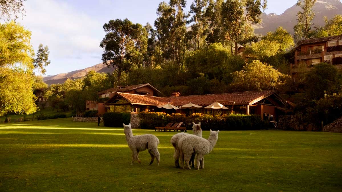 В отеле Belmond Rio Sagrado (Священная долина) Куско, Перу