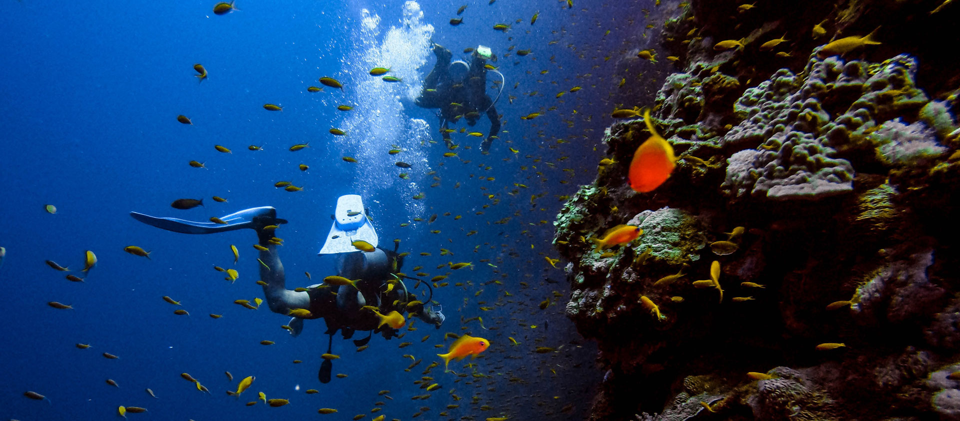 На фото: дайвинг туры с погружением с аквалангом в странах Латинской Америки