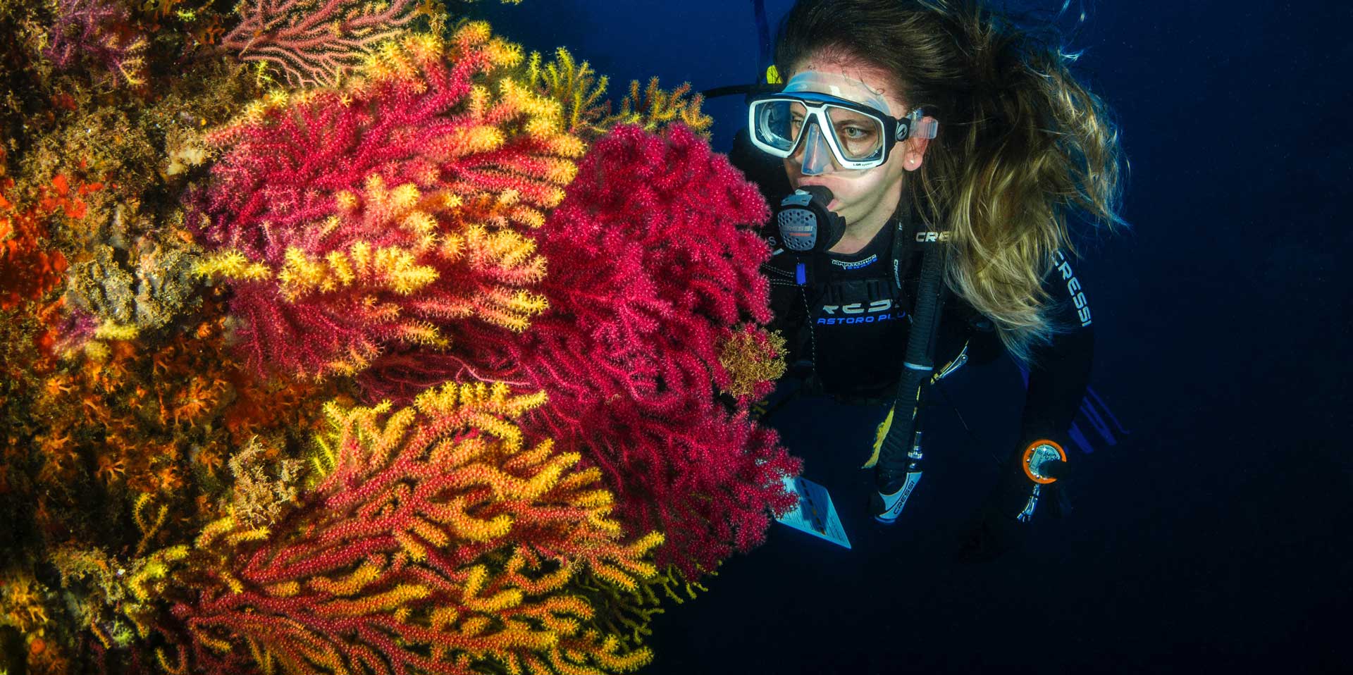 На фото: дайвинг туры с погружением с аквалангом в странах Латинской Америки