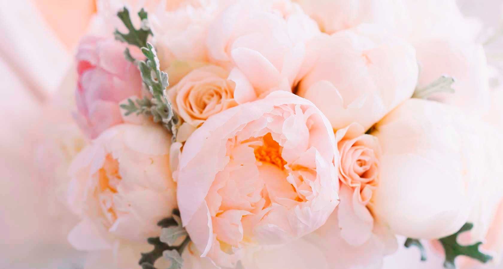 На фото: романтические и свадебные туры в страны Латинской Америки